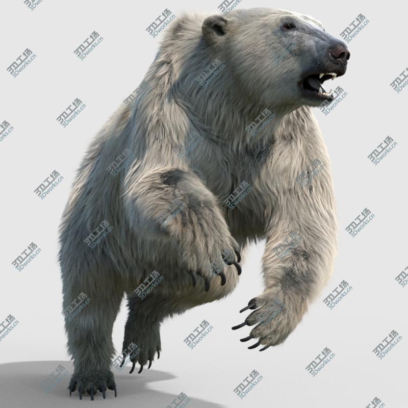 images/goods_img/202104094/Polar bear RIGGED FUR model/4.jpg